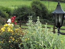 In the garden of our B&B