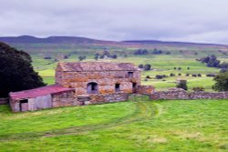 Hawes Livestock Barn