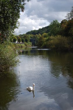 View towards Ironbridge along the Severn