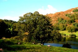 Loughrigg Tarn, near Grasmere.