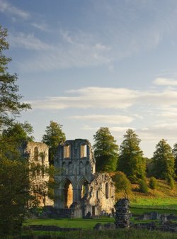 October 09 Roche Abbey