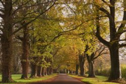 Chavenage Lane at Tetbury in Gloucestershire.