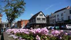 Flowers in Ledbury