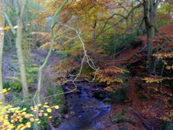 Indian Summer October 2009