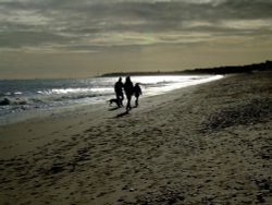 Autumn walk along the beach