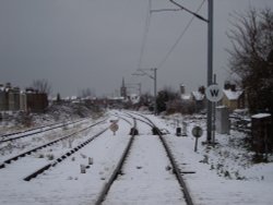 Tracks in the snow