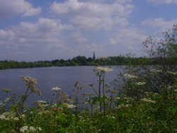 Attenborough Nature Reserve