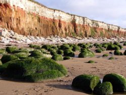 Hunstanton Cliffs