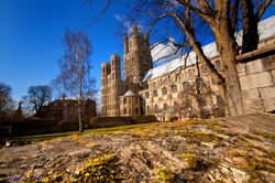 Ely Cathedral over a wall