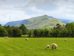 Keswick towards cat bells
