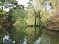 Reflections over water
