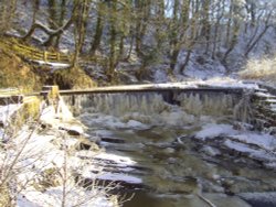 Drybones Weir, Yarrow Valley Country Park