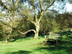 Come ye apart and rest awhile.