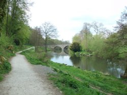 Dinham bridge