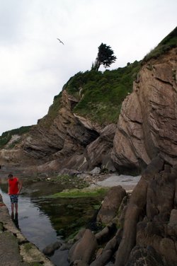 Lone tree on the clifftop.
