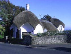 A view of Lyme Regis