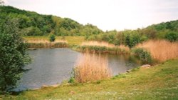 The Pond/Lake at Derwenthaugh Park