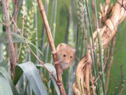 Oh, oh, vertigo kicking in again!