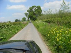 Herefordshire lane in June