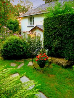 Little White Cottage