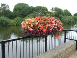 View of the River Severn and flower display
