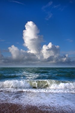 Looking out to sea.