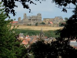 Whitby Abbey from west side of town.