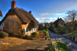Thatched Cottage