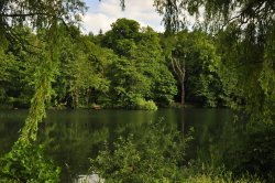 Green and pleasant land