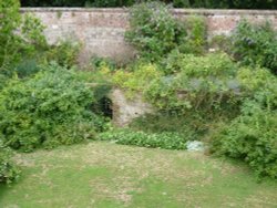 Have we found the secret garden?