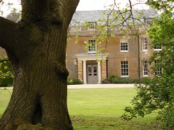 Another ancient oak near the Church of Holy Virgin in Polstead