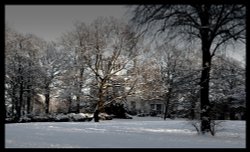 Park in snow