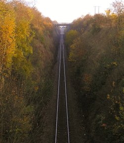 Autumn track
