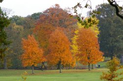 Autumn in Barnsley, South Yorkshire