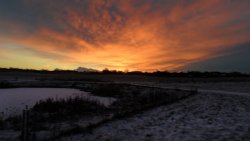 Jeskyns Park at Dawn