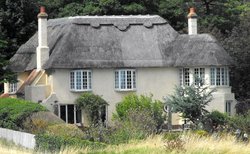 Thatched roof house