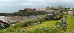 Craster Harbour