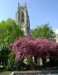 Beverley Minster April 2011