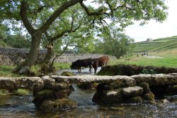 Clapper Bridge, Malham