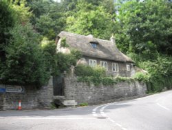 Thatched Cottage