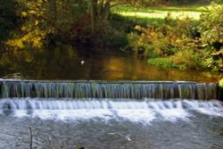 River Dove, Ilam park