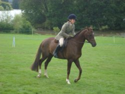 Ripley Show, Aug 2011