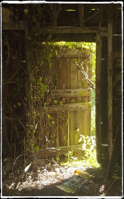 The old empty barn, Somerleyton, Suffolk