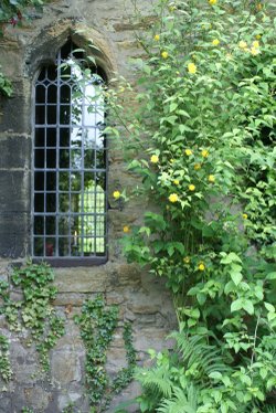 Candle at the Window, Crook Hall