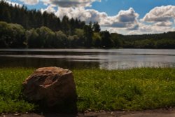 Shearwater Lake near Warminster