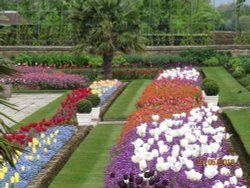 Kensington Palace Gardens