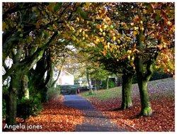 Rhyddings Park, Oswaldtwistle