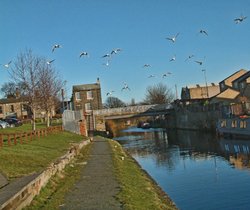 Looking along the Canal in Mirfield