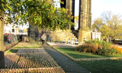 Field Of Remembrance