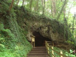 Mother Shipton's Cave